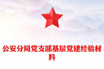 公安分局党支部基层党建经验材料