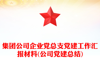 集团公司企业党总支党建工作汇报材料(公司党建总结)