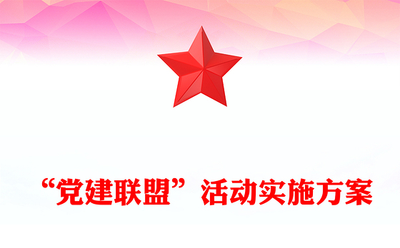 2023供电党建联盟方案总结