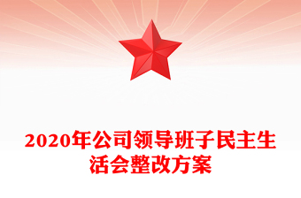 2020年公司领导班子民主生活会整改方案