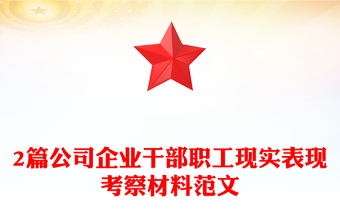 2篇公司企业干部职工现实表现考察材料范文