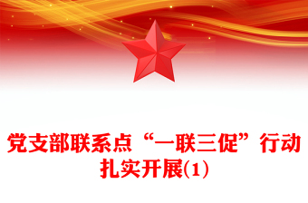 党支部联系点“一联三促”行动扎实开展(1)