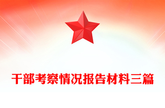 干部考察情况报告材料三篇