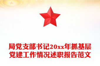 局党支部书记20xx年抓基层党建工作情况述职报告范文
