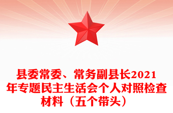 县委常委、常务副县长2021年专题民主生活会个人对照检查材料（五个带头）