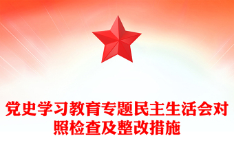 党史学习教育专题民主生活会对照检查及整改措施