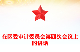 在区委审计委员会第四次会议上的讲话
