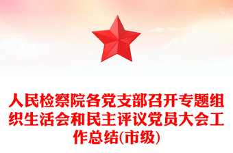 人民检察院各党支部召开专题组织生活会和民主评议党员大会工作总结(市级)