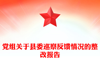 党组关于县委巡察反馈情况的整改报告