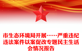 市生态环境局开展……严重违纪违法案件以案促改专题民主生活会情况报告