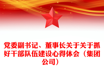 2021年党委副书记、董事长关于关于抓好干部队伍建设心得体会（集团公司）