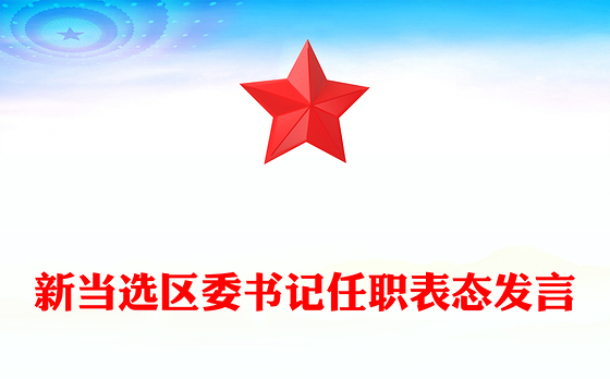 新当选区委书记任职表态发言