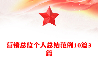营销总监个人总结范例10篇3篇