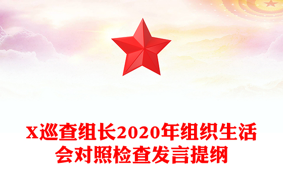 X巡查组长2020年组织生活会对照检查发言提纲
