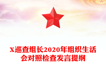 X巡查组长2020年组织生活会对照检查发言提纲