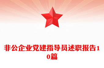 非公企业党建指导员述职报告10篇