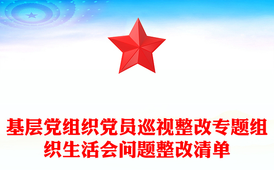 基层党组织党员巡视整改专题组织生活会问题整改清单