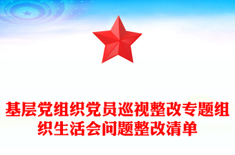 基层党组织党员巡视整改专题组织生活会问题整改清单