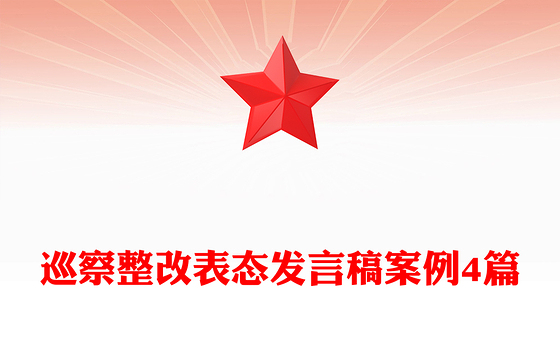 巡察整改表态发言稿案例4篇