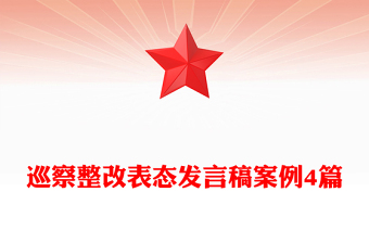 巡察整改表态发言