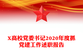 X高校党委书记2020年度抓党建工作述职报告