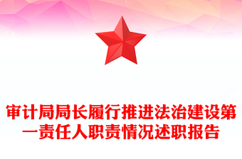 审计局局长履行推进法治建设第一责任人职责情况述职报告