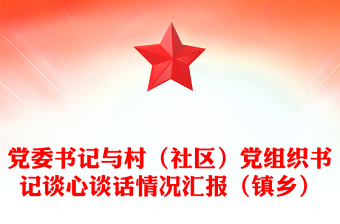 2023村书记找支部书记谈话内容