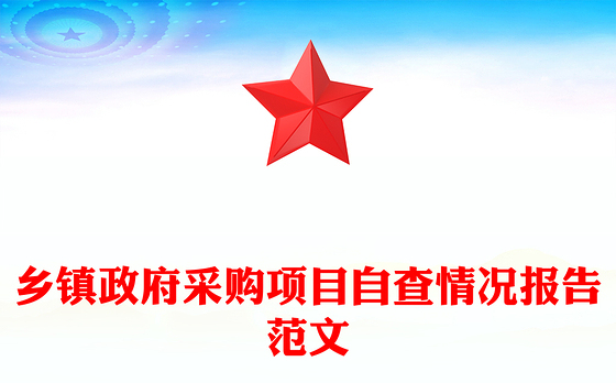 乡镇政府采购项目自查情况报告范文