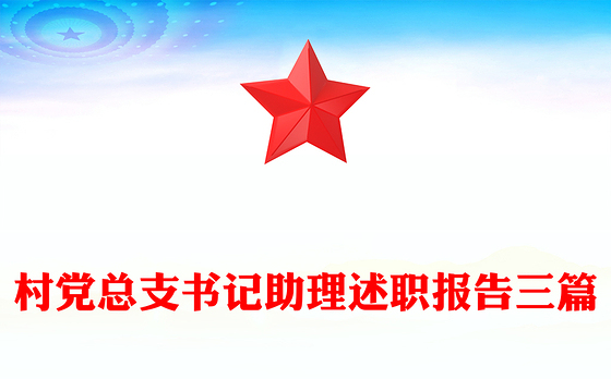 村党总支书记助理述职报告三篇