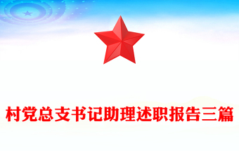 村党总支书记助理述职报告三篇