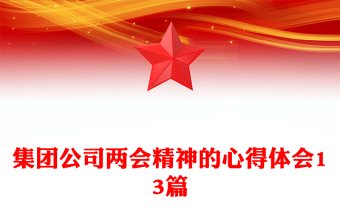 集团公司两会精神的心得体会13篇