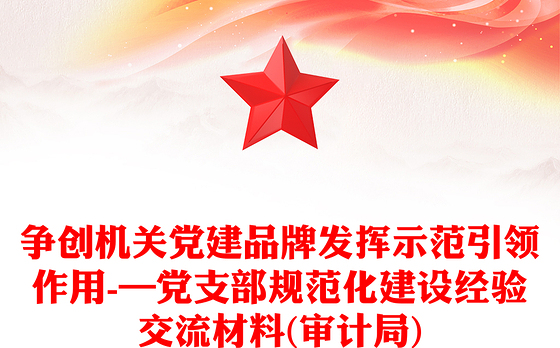 争创机关党建品牌发挥示范引领作用-—党支部规范化建设经验交流材料(审计局)