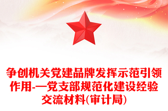 争创机关党建品牌发挥示范引领作用-—党支部规范化建设经验交流材料(审计局)
