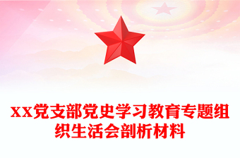 XX党支部党史学习教育专题组织生活会剖析材料