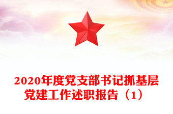 2020年度党支部书记抓基层党建工作述职报告（1）