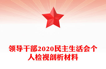 领导干部2020民主生活会个人检视剖析材料