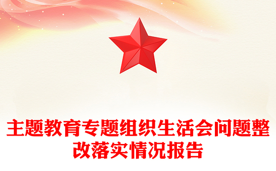主题教育专题组织生活会问题整改落实情况报告
