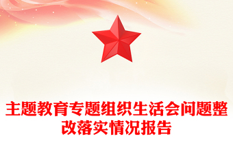 主题教育专题组织生活会问题整改落实情况报告
