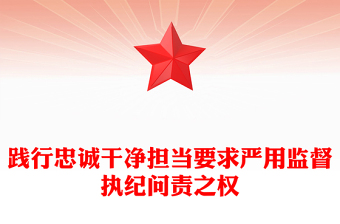 践行忠诚干净担当要求严用监督执纪问责之权