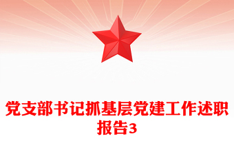 党支部书记抓基层党建工作述职报告3