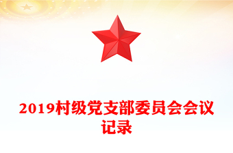 2019村级党支部委员会会议记录