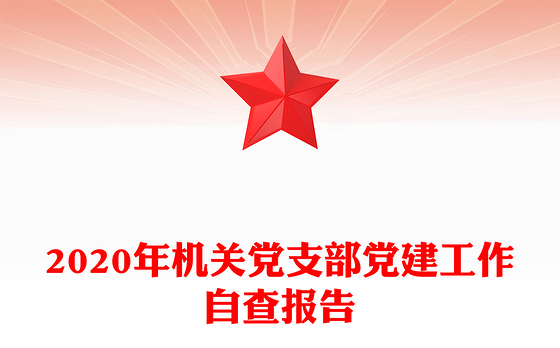 2020年机关党支部党建工作自查报告