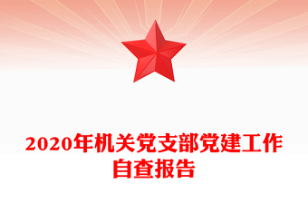 2020年机关党支部党建工作自查报告