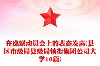 在巡察动员会上的表态发言(县区市级局县级局镇街集团公司大学10篇)