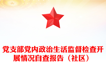 党支部党内政治生活监督检查开展情况自查报告（社区）