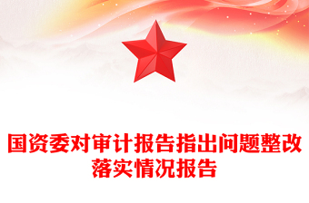 国资委对审计报告指出问题整改落实情况报告