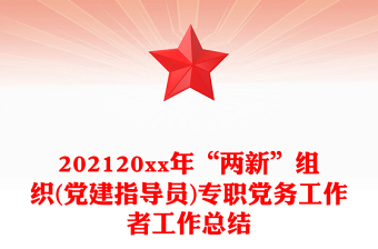 202120xx年“两新”组织(党建指导员)专职党务工作者工作总结