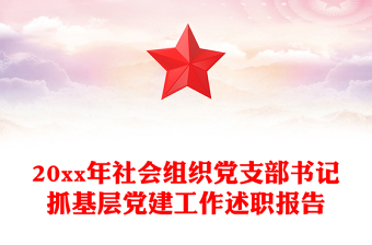20xx年社会组织党支部书记抓基层党建工作述职报告