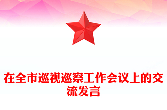 在全市巡视巡察工作会议上的交流发言