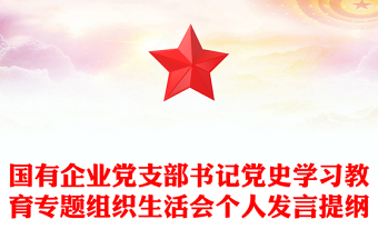 国有企业党支部书记党史学习教育专题组织生活会个人发言提纲